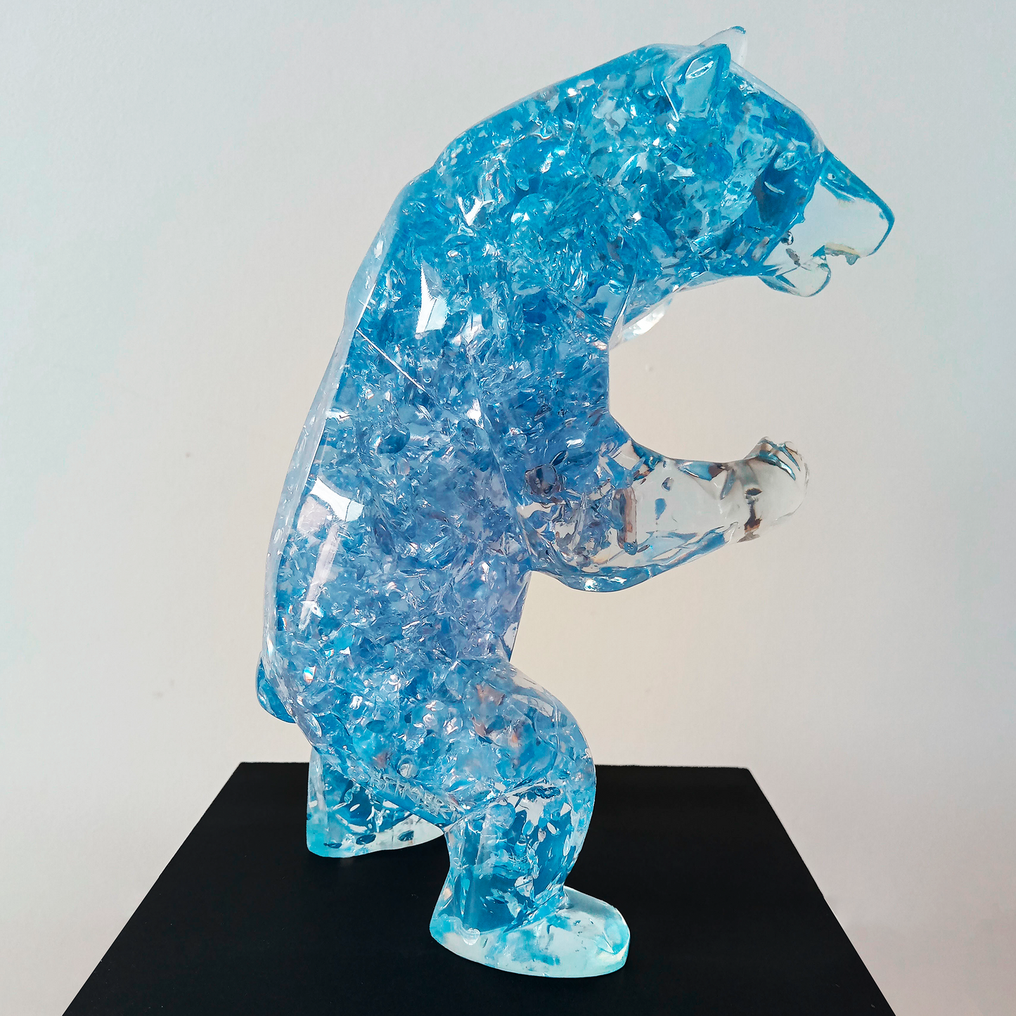 Bubble Bear